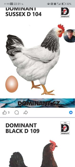 Продавам пилета на различна възраст