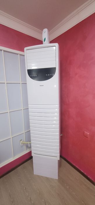 Душанбе свингерлер порно