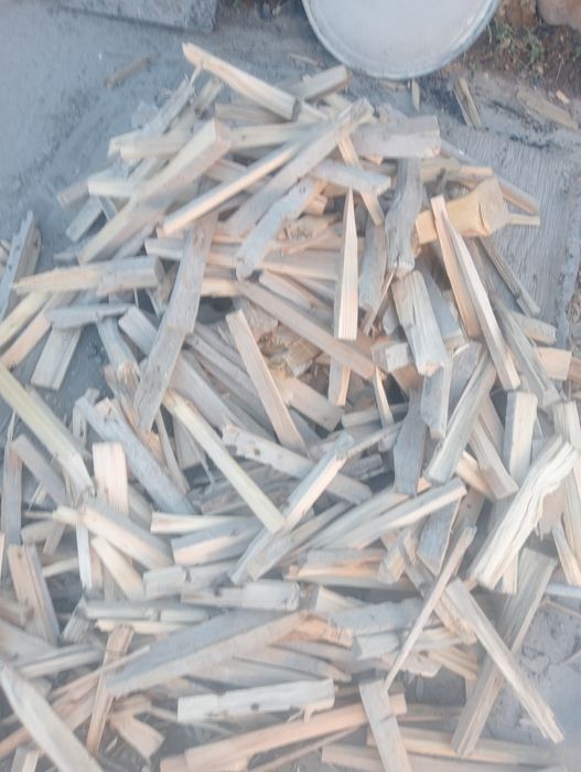 Дрова сухие, құрғақ отын