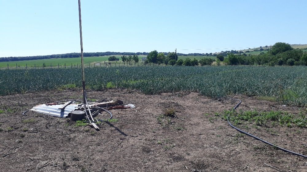 Продава се Парцел в с. Соколово, Област Добрич - 5860 кв.м за 8 €/кв.м - Снимка #6