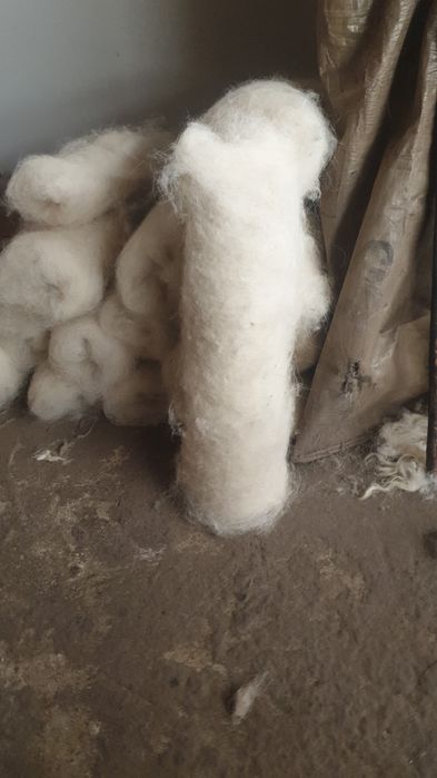 Lana spalata si facuta caier