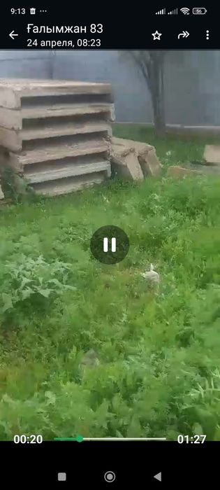 Битон плиталар сатлады