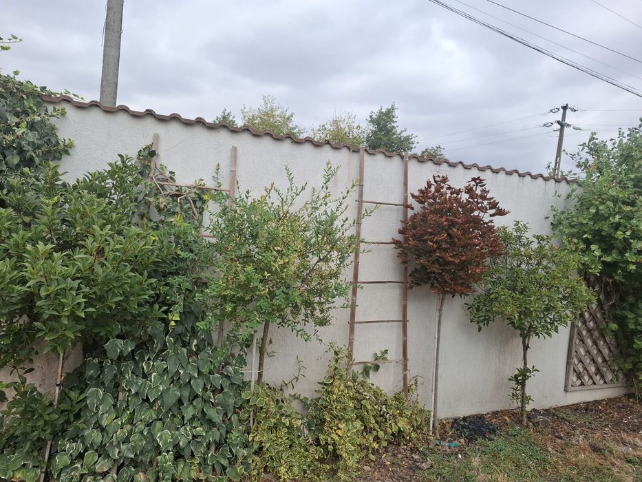 Vand casa in bujac