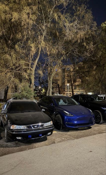 Tesla Model Y Performance dual mator