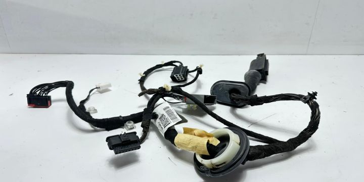 Cablaj usa stanga spate Dk6214633 Land Rover Range Rover Sport a 2-a