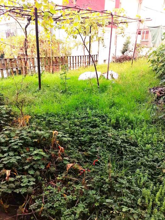 Продава се Къща в Благоевград, Ален мак - 100 кв.м за 700 €/кв.м - Снимка #1