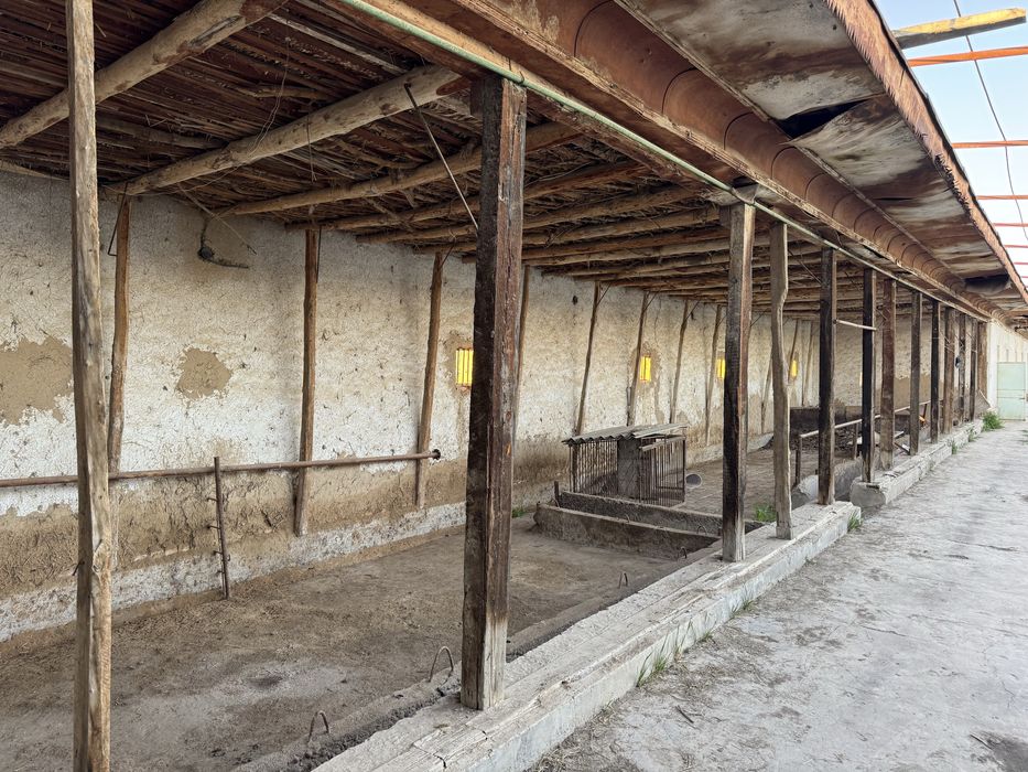 Yangiyol tumanida 65 sotix tayyor ferma va teplitsa sotiladi