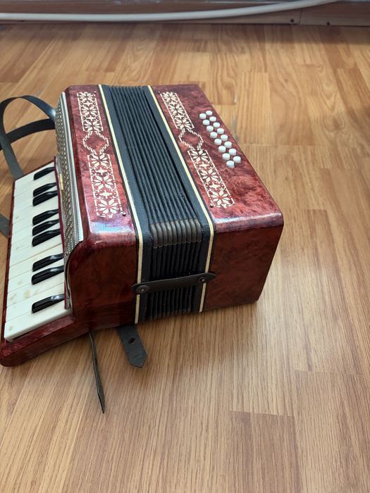 Acordeon Malysh de adolescenți !