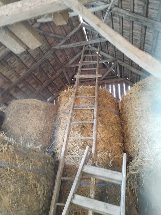 Vand baloti de lucerna