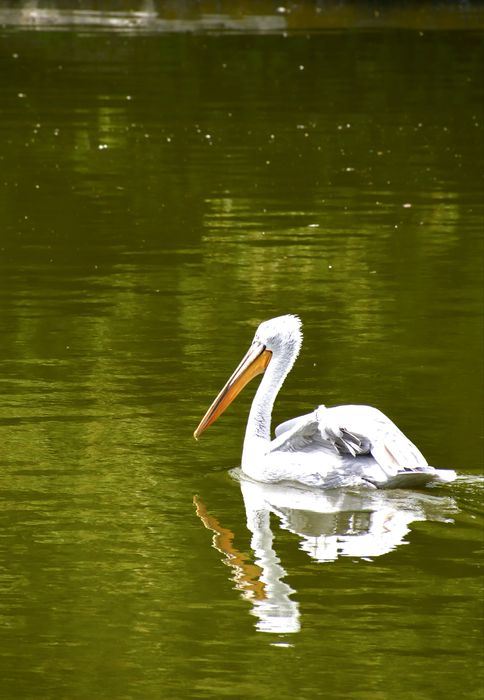 Обектив Tamron 18-400mm за Canon EF и RF