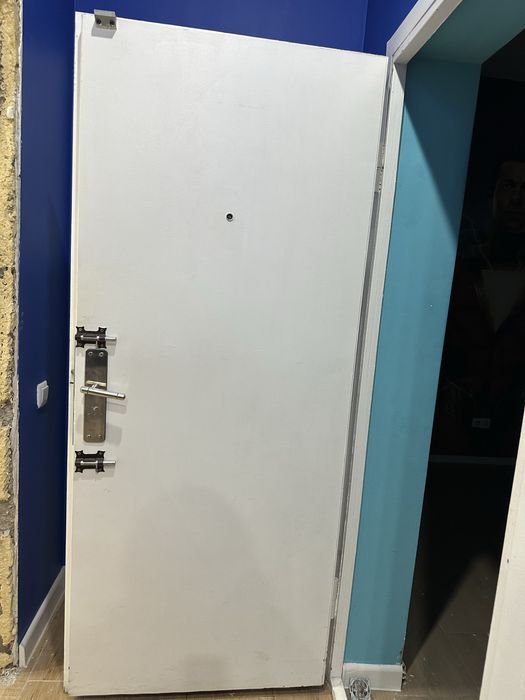 Металлическая дверь