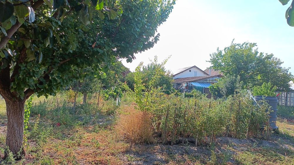 De vanzare casa in localitatea Covaci - Jud. Timis