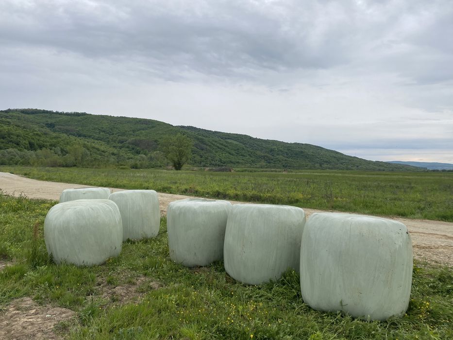 Vând baloți lucernă