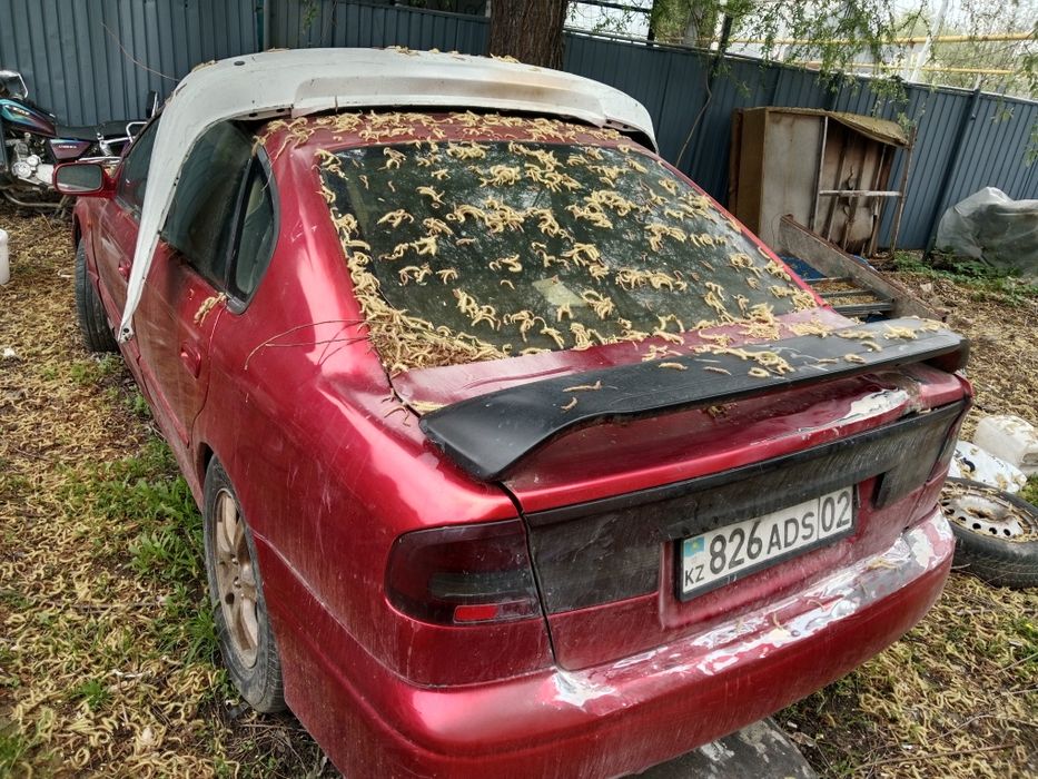 Продам Субару Легаси