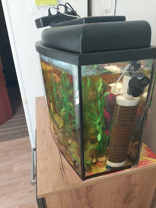 Продам Аквариум с тумбой 85л,