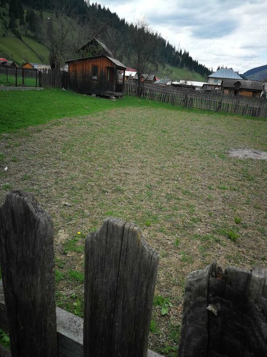 Teren intravilan Borca, jud. Neamt