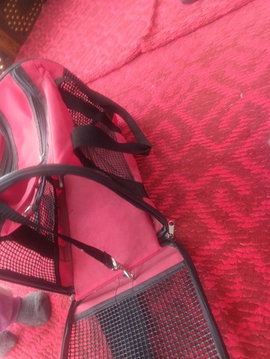 Рюкзак для кошек