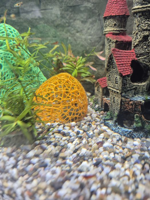 Dom puiet peste și creveți