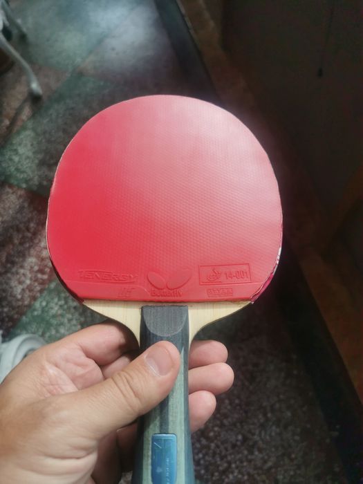 Vand paleta Butterly Timo Boll ALC
