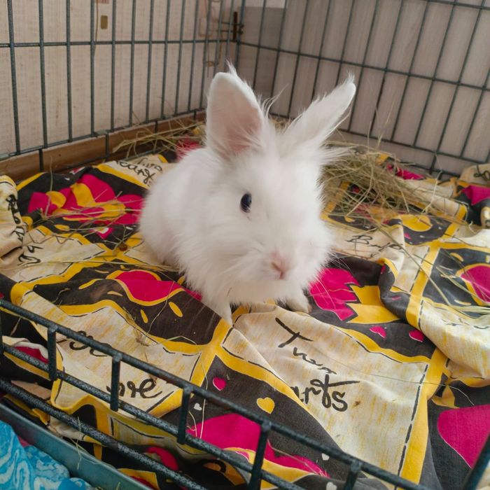 Голубоглазый блондин