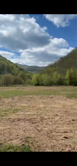 Vand parcele Valea Ierii Frasinet