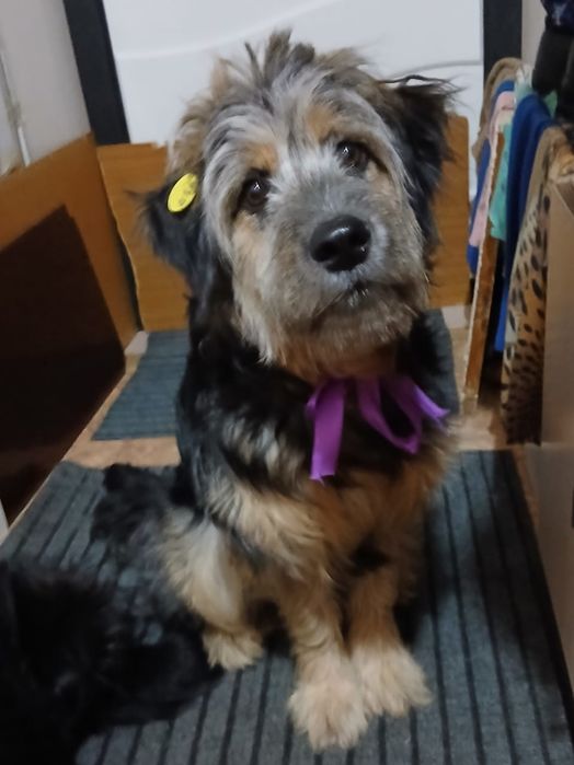 Девчульки -красотульки!!!