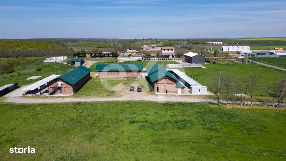 Black Angus Farm with authorized Slaughterhouse