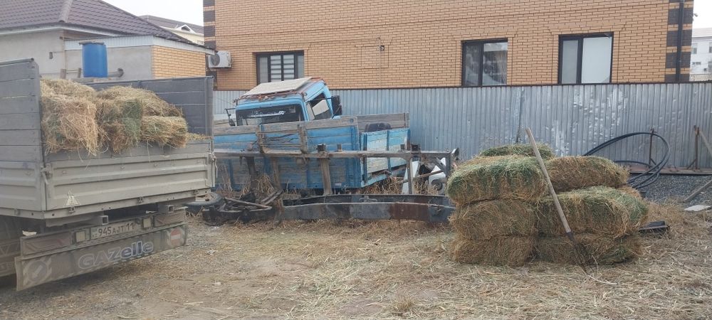 Жонышка прес бар гогольде