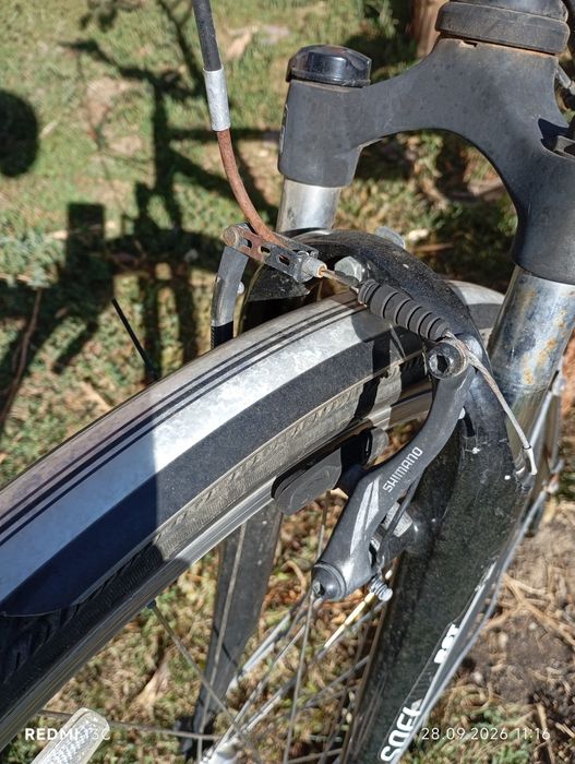 Bicicleta barbati