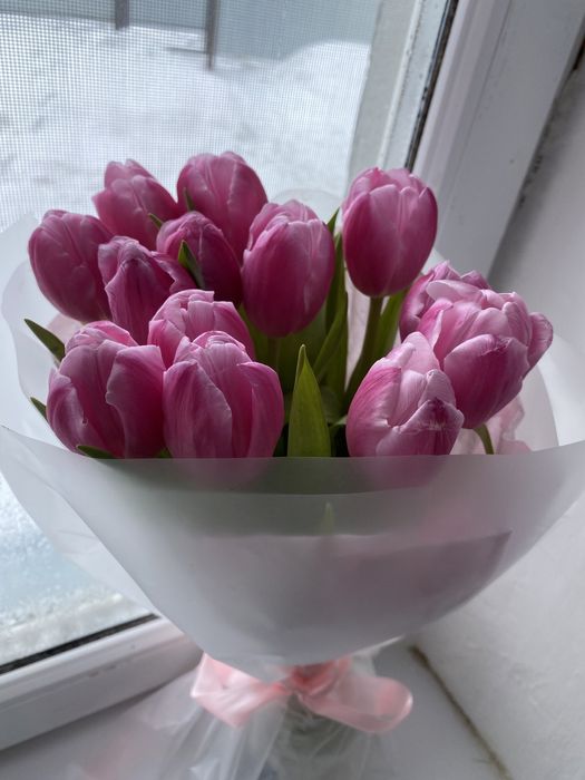 Продается цветы, букет тюлпан