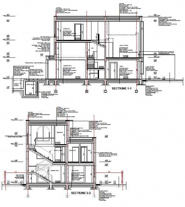 Vilă modernă Balotești-Proiect Premium cu piscină la GRI