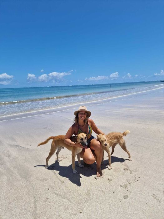 Profesoară de engleză cu 10 ani de experiență internațională - online