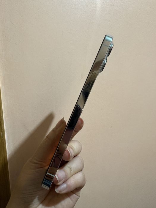 Iphone 13 pro max 256gb