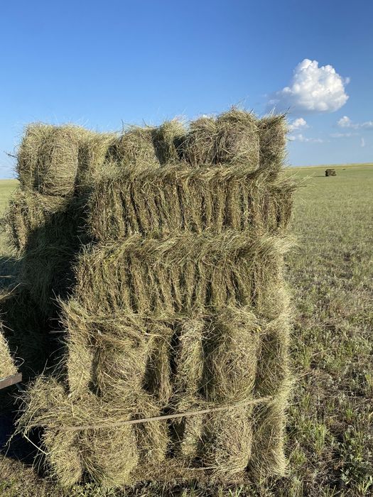 Продажа сено Тюки самовывоз