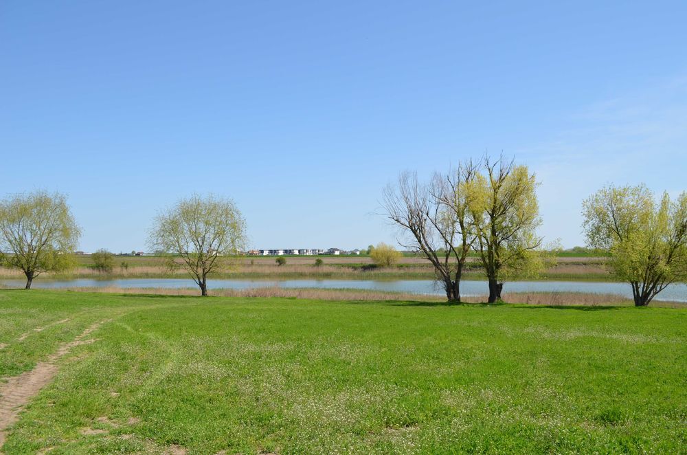 teren de vanzare pe malul lacului