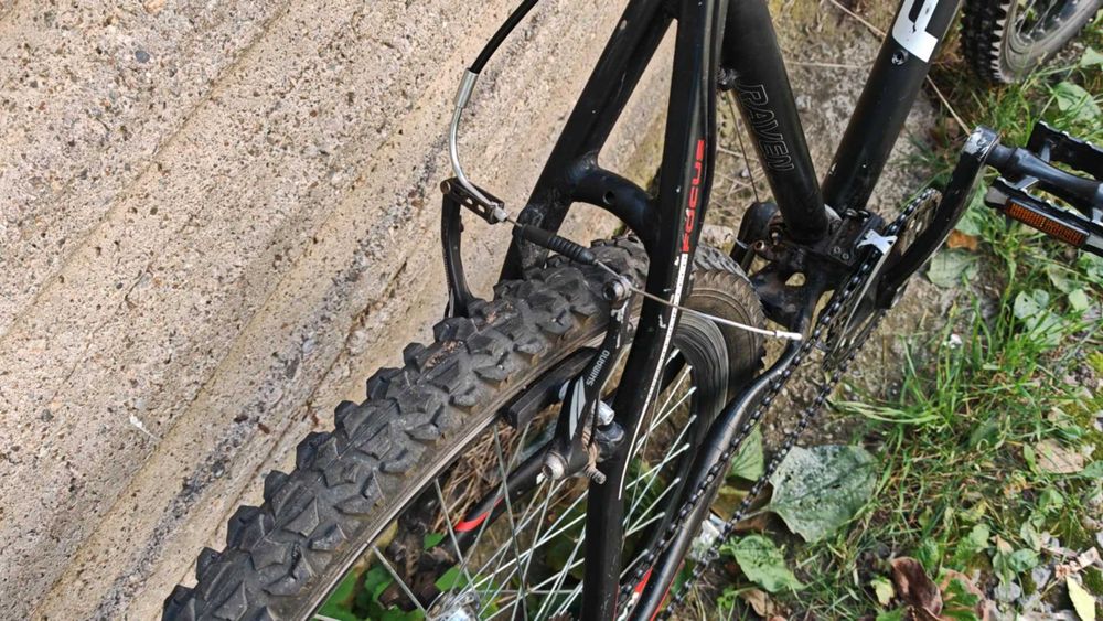 Bicicleta Mtb Focus Raven