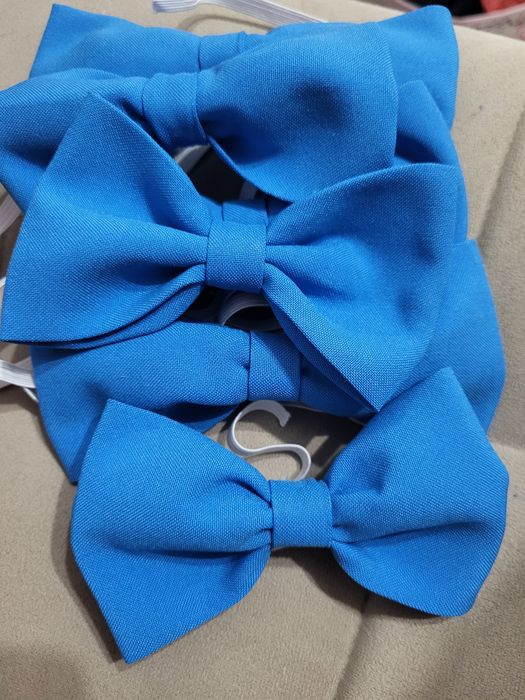 Бабочки для мальчика 800 тг