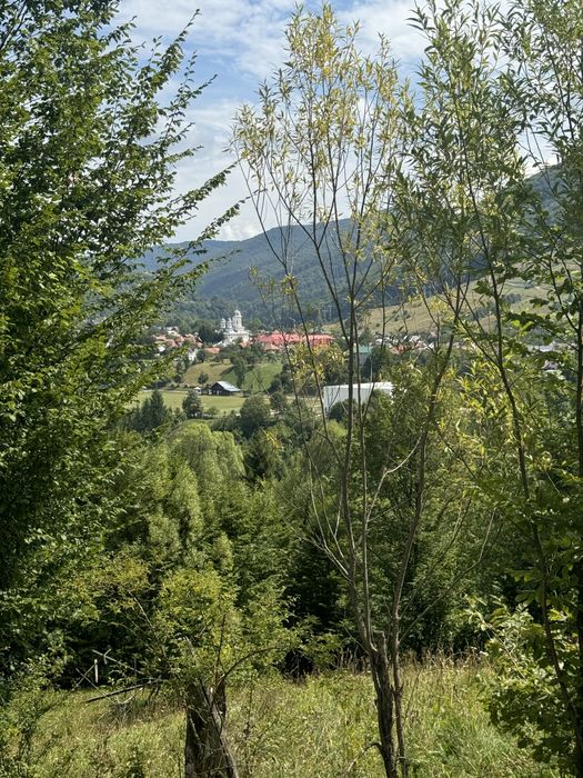 Teren de vanzare Valea Doftanei Traisteni 3600mp