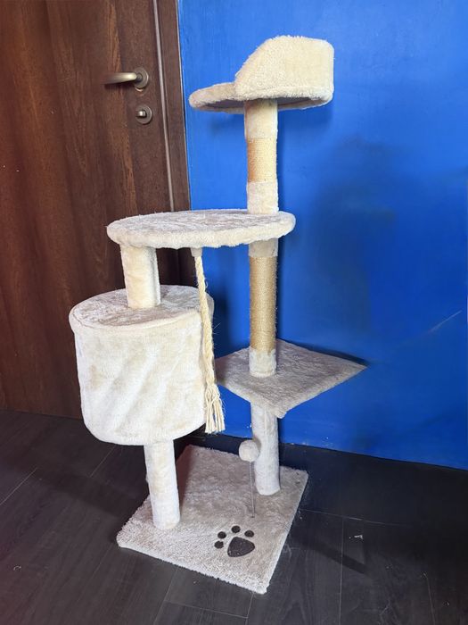 Котешка катерушка