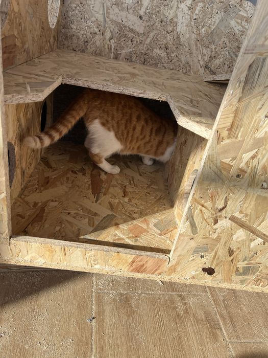 Pentru iubitorii de animale casuta izolata