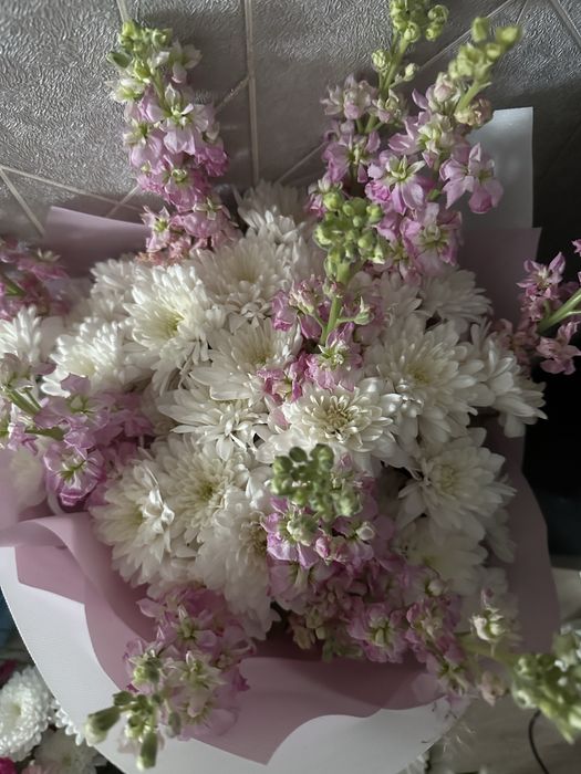 Цветы хризантемы