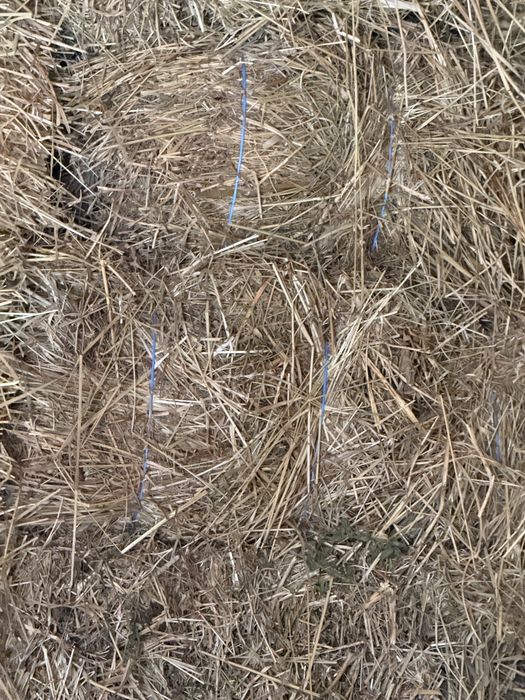 Baloti amestec furaje si lucerna