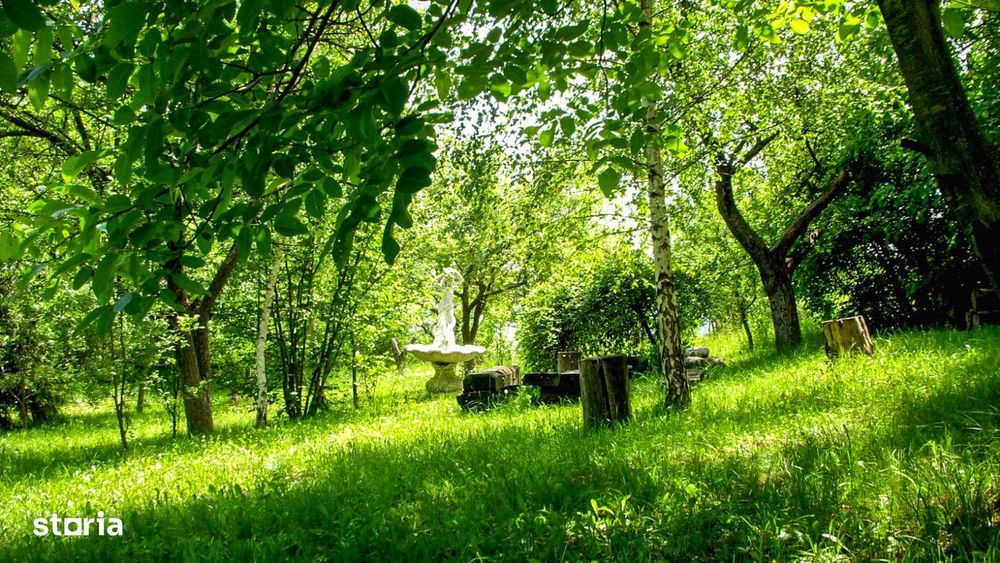 Domeniu exclusivist cu izvor propriu – Cheile Turzii / Munții Apuseni