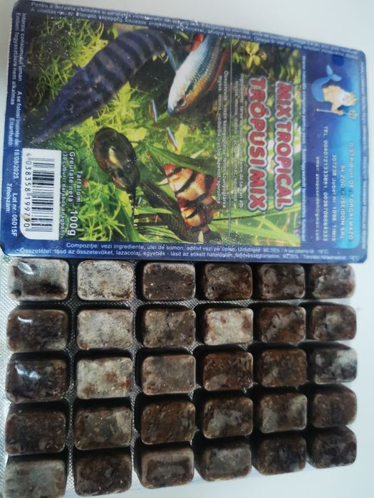 Hrana congelata de vie de orice fel.