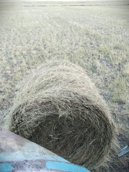 Сено шоп рулон житняк