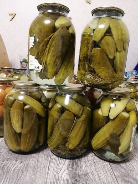 Огурцы солёные этого года
