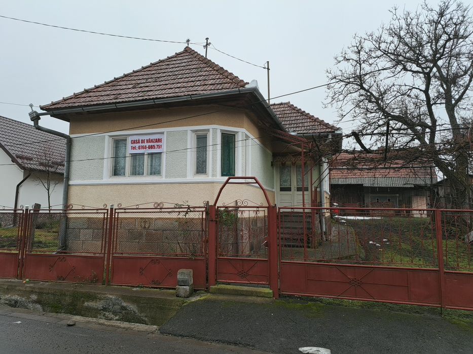 Casa de vanzare in Ibanesti