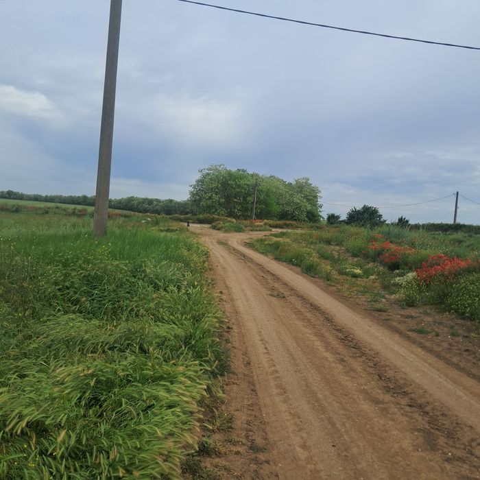 Caut cazare pentru 2 luni