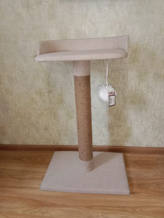 Когте почки для кошек