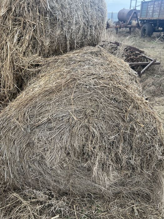 Продам Сено(Донник+разнотравие)